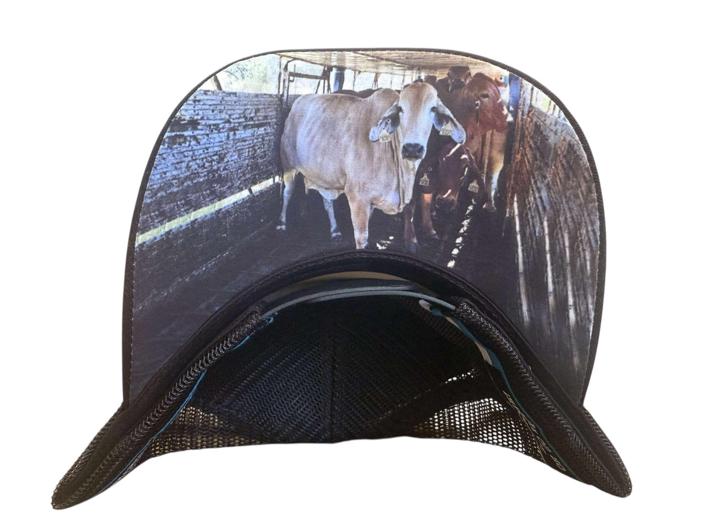 " Only Cows" Trucker Hat